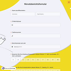 Monatsberichtsformular