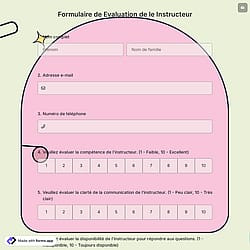 Formulaire de Evaluation de le Instructeur