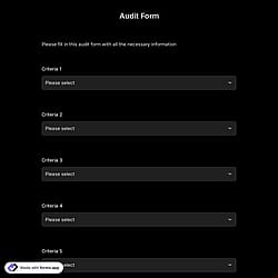 Audit Form
