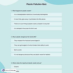 Plastic Pollution Quiz