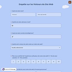 Enquête sur les Visiteurs du Site Web