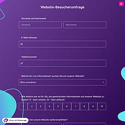 Website-Besucherumfrage