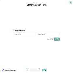 CEO Evaluation Form