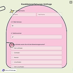Kandidatenerfahrungs-Umfrage