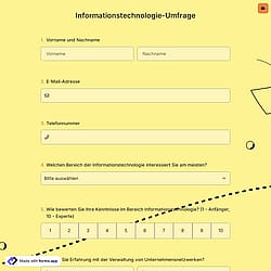 Informationstechnologie-Umfrage