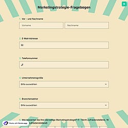 Marketingstrategie-Fragebogen