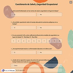 Cuestionario de Salud y Seguridad Ocupacional