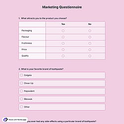 Marketing Questionnaire