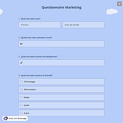 Questionnaire Marketing