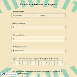 Formulario de Feedback del Programa