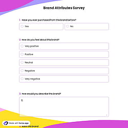 Brand Attributes Survey