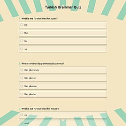 Turkish Grammar Quiz