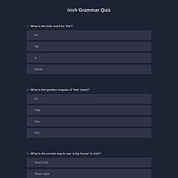 Irish Grammar Quiz