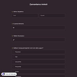 Zamanlama Anketi