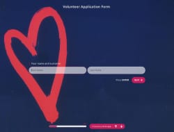 Volunteer Application Form Template