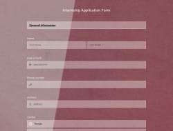Internship Application Form Template