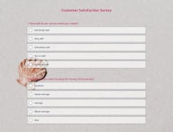 Customer Satisfaction Survey Template