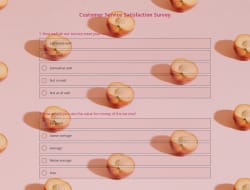 Customer Service Satisfaction Survey Template