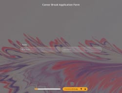 Bewerbungsformular für Karrierepausen