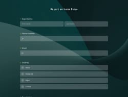 Report an Issue Form