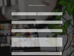 Work From Home Form