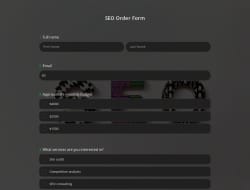 SEO Order Form