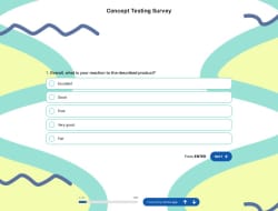 Concept Testing Survey