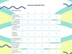 Employee Attitude Survey