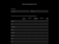 Skill Set Evaluation Form