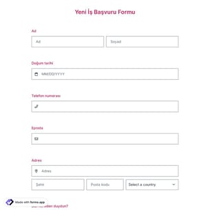 İş Başvuru Formu Şablonu