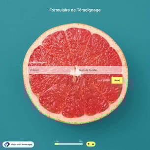 Modèle de Formulaire de Témoignage