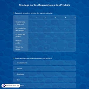 Modèle de Sondage sur les Commentaires sur les Produits