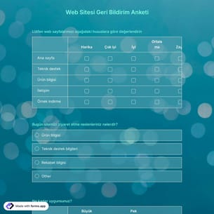 Web Sitesi Geri Bildirim Anketi Şablonu