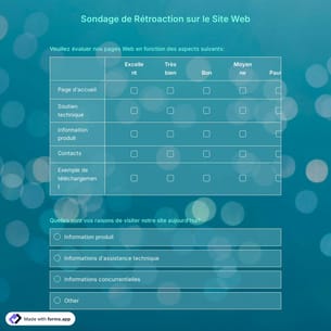 Modèle de Sondage de Rétroaction sur le Site Web