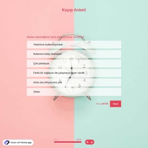 Kayıp Anketi Şablonu