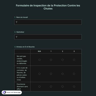 Formulaire de Inspection de la Protection Contre les Chutes