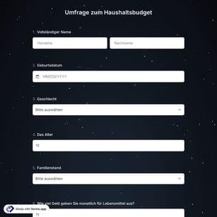 Haushaltsbudget PlanungsFormular