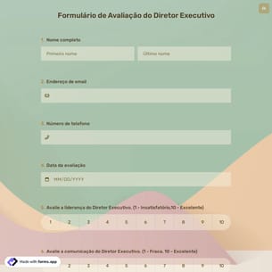 Formulário de Avaliação do Diretor Executivo