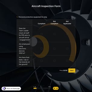 Aircraft Inspection Form