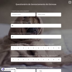 Questionário de Gerenciamento do Estresse