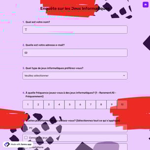 Enquête sur les Jeux Informatiques
