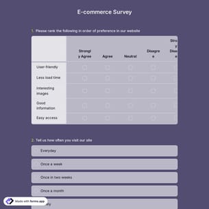 E-commerce Survey