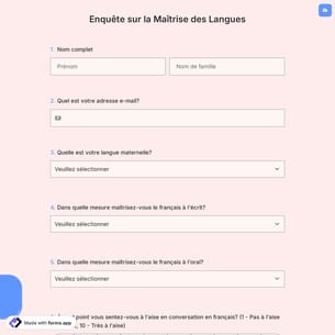 Enquête sur la Maîtrise des Langues