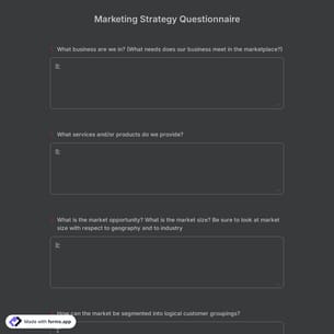 Marketing Strategy Questionnaire