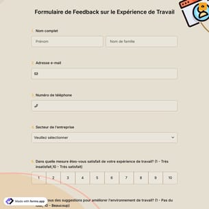 Formulaire de Feedback sur le Expérience de Travail