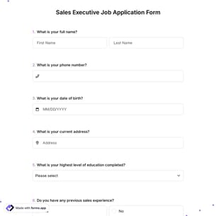 Sales Executive Job Application Form