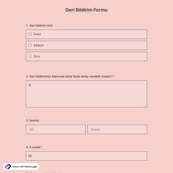 Geri Bildirim Formu Şablonu
