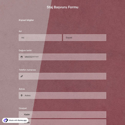 Staj Başvuru Formu Şablonu