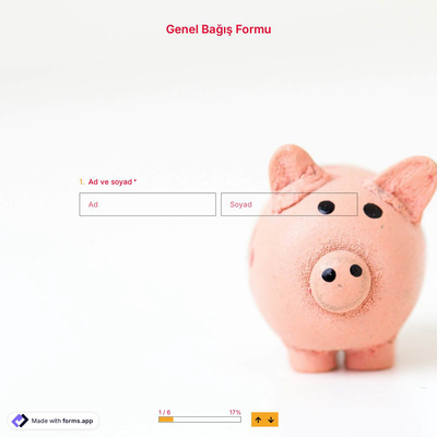 Bağış Formu Şablonu