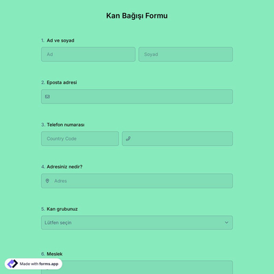 Kan Bağış Formu Şablonu